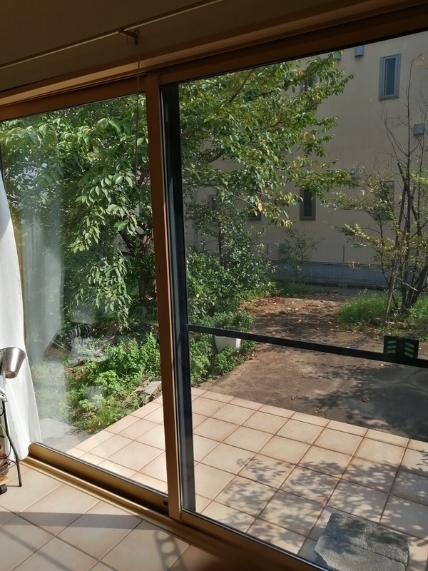 IMG_20240906_142922_コピー_コピー