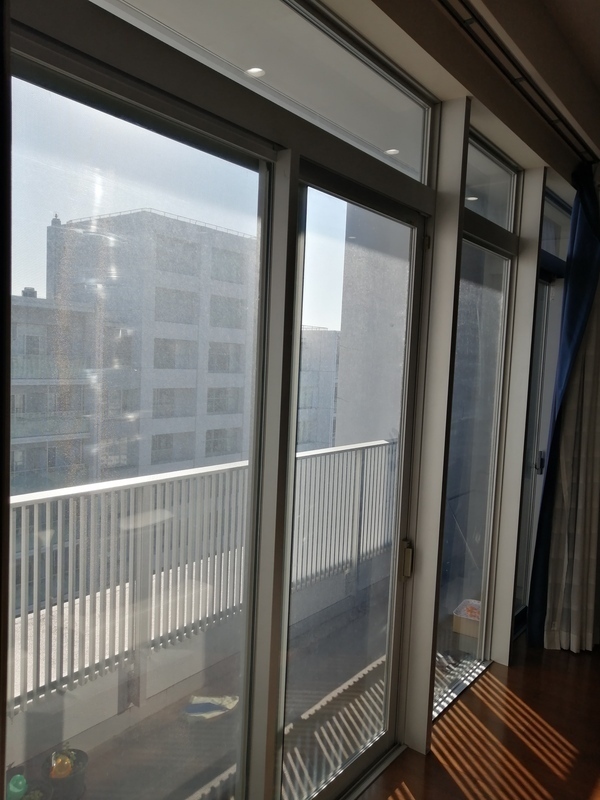 IMG_20241203_135128_コピー_コピー